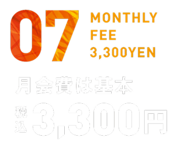 月会費は基本税込3,300円