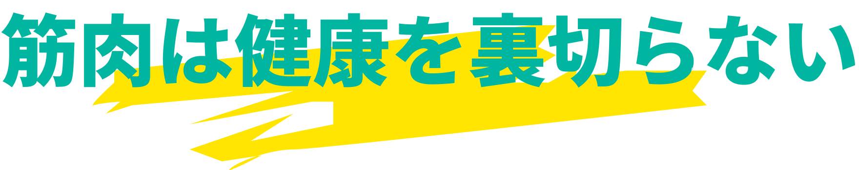 筋肉は健康を裏切らない